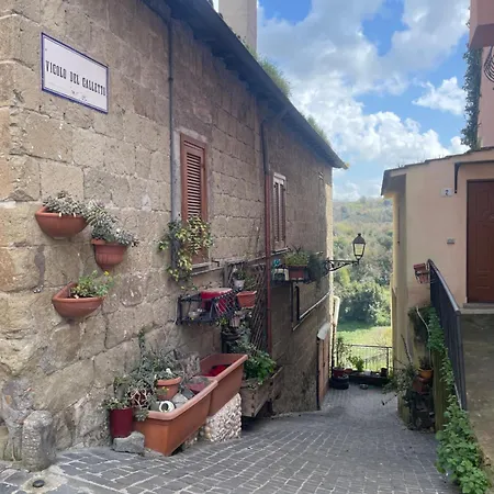Apartment Casa Bellavista - Charming House